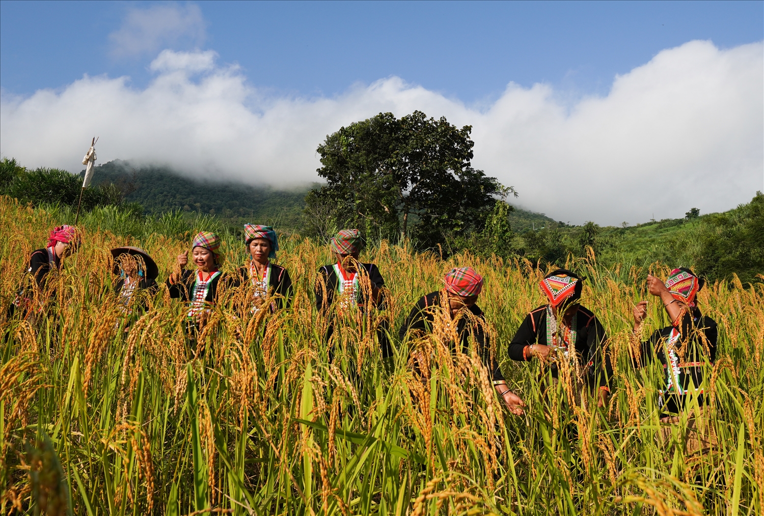 Сохранение культурных ценностей представителей нацменшинств