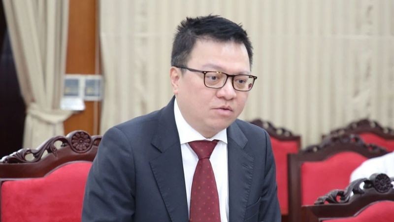 Состоялся 4-й политический диалог между КПВ и Левой партией Германии