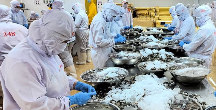 В провинции Камау стратовал первый фестиваль креветок