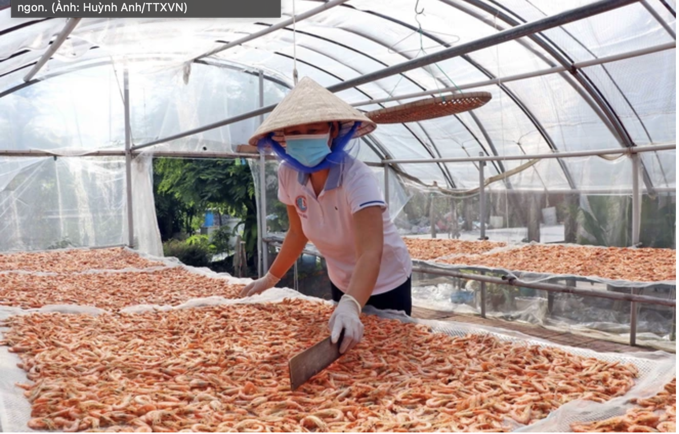 Камау профессия изготовления сушеных креветок признана национальным нематериальным культурным наследием