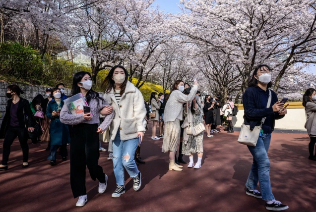 Китай и Республика Корея смягчили визовую политику для вьетнамских туристов