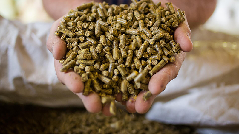 Экспорт кормов для животных за первые 11 месяцев 2023 года превысил 1,11 млрд долларов США, увеличившись почти на 7