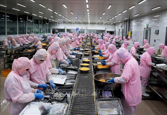 Экспорт морепродуктов стремится достичь 9,5 млрд долларов США в 2024 году