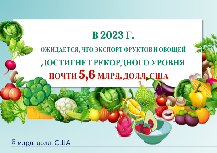 Ожидается, что экспорт фруктов и овощей в 2023 году достигнет рекордного уровня почти в 5,6 млрд долл США