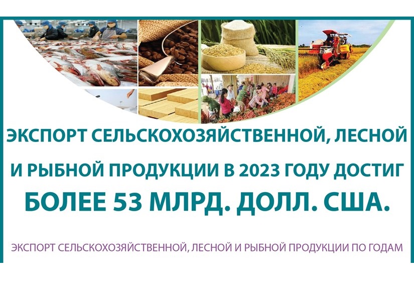 Экспорт сельскохозяйственной, лесной и рыбной продукции в 2023 году достиг более 53 млрд долл США