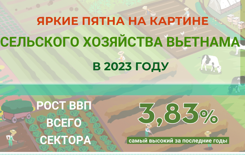 Яркие пятна в картине сельского хозяйства Вьетнама в 2023 году