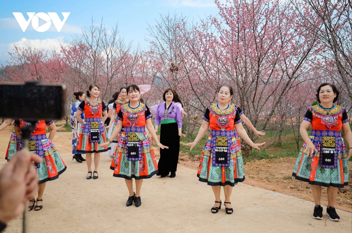 Скала с цветущей сакурой Пакхоанг