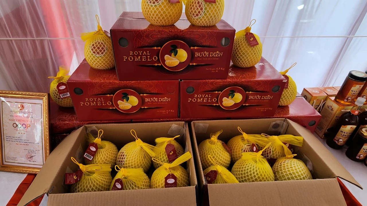 Почти 20 тонн помело Зиен будет экспортировано в США