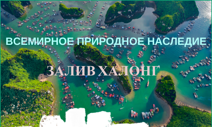 Залив Халонг - ведущее в мире природное направление и популярное направление в 2024 году
