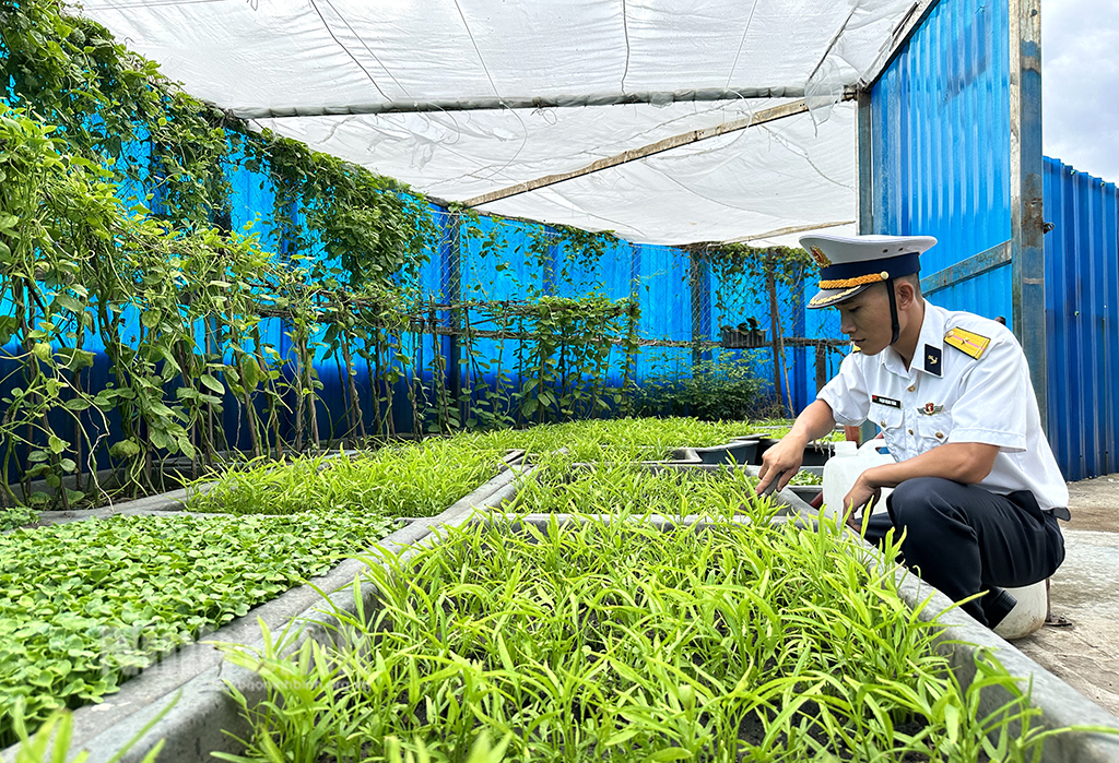 Увеличение производства на Чыонгша