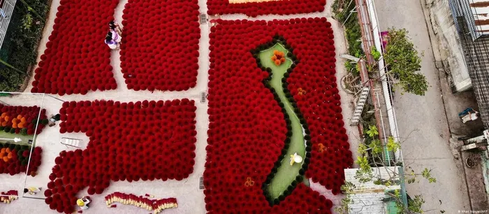 Изображение вьетнамской деревни благовоний в иностранной газете