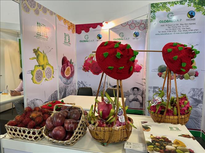 Продвижение экспорта вьетнамских фруктов и овощей на выставке Fruit Logistica 2024