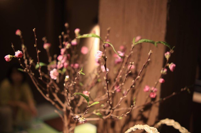 Вьетнамский Тет в глазах иностранных гостей