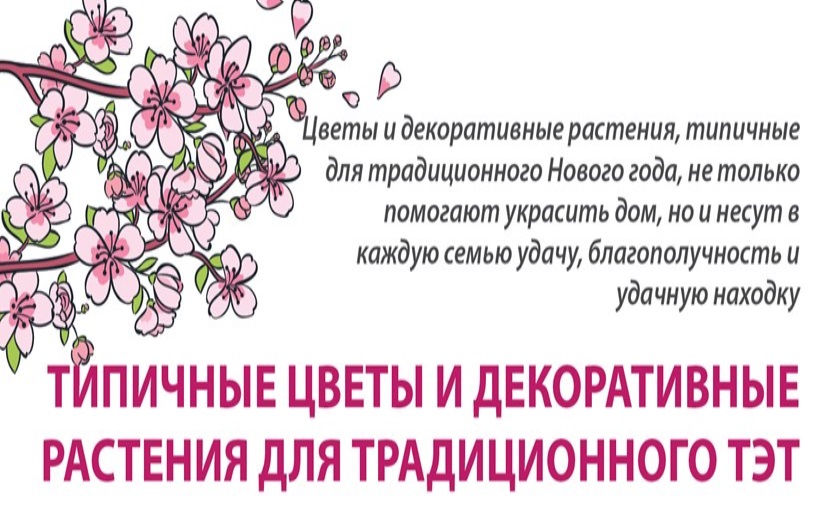 Типичные цветы и декоративные растения для традиционного Тэт