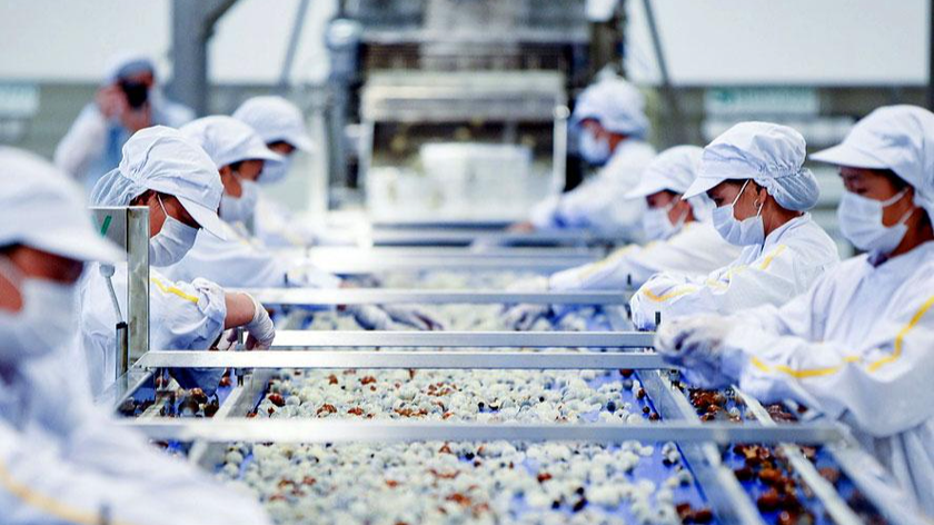Экспорт сельскохозяйственной, лесной и рыбной продукции процветает в начале года
