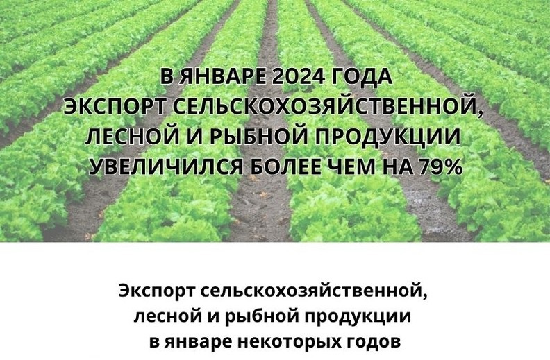 Экспорт продукции сельского, лесного и рыбного хозяйства увеличился более чем на 79