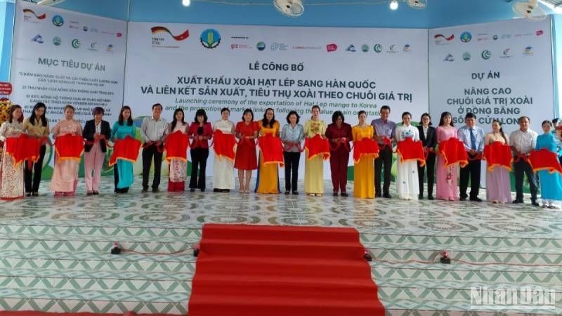 Анжанг экспортировала первую партию манго в Южную Корею