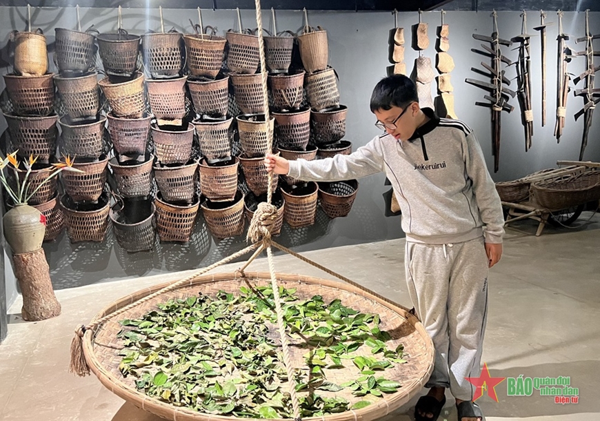 Впечатляющий музей чая в Далате