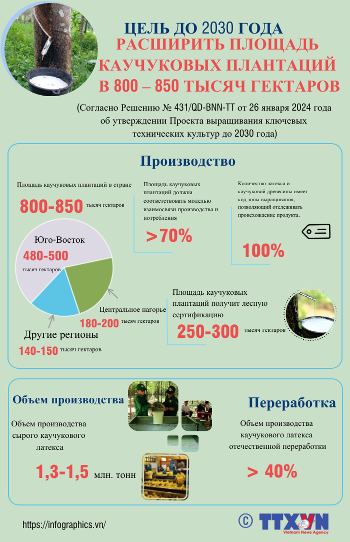 Цель до 2030 года расширить площадь каучуковых плантаций в 800 – 850 тысяч гектаров