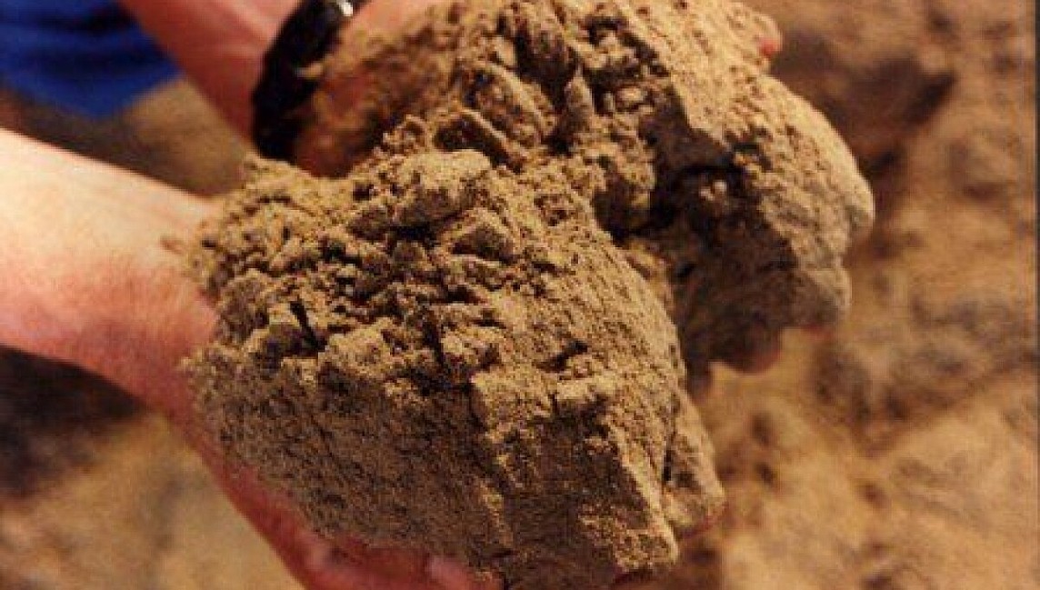 Вьетнам — второй по величине поставщик рыбной муки в Китай