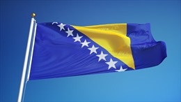 Поздравительные телеграммы по случаю Дня независимости Боснии и Герцеговины