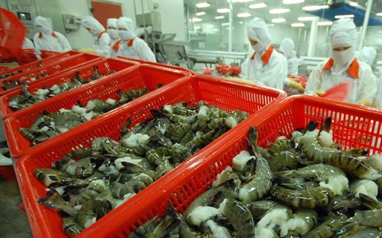 Креветки — основной экспортный продукт Вьетнама в Австралию