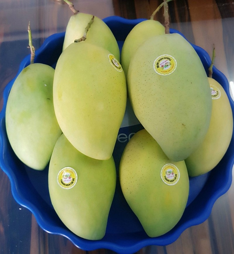 Вьетнам — 13-й по величине рынок поставок манго в США