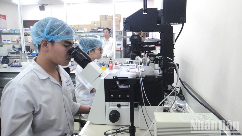 Государственный университет г Хошимина имеет 8 специальностей обучения, входящих в топ-500 в мире