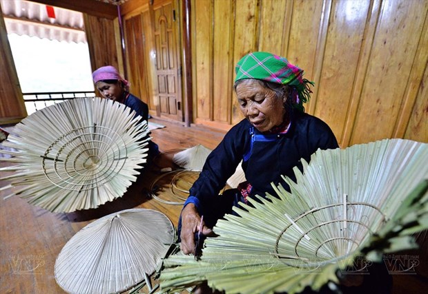 Сохранение уникального ремесла изготовления конических шляп из пальмовых листьев