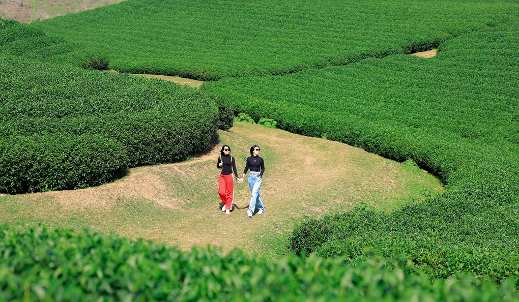 Туристическая зона Мокчау получила статус национальной туристической зоны