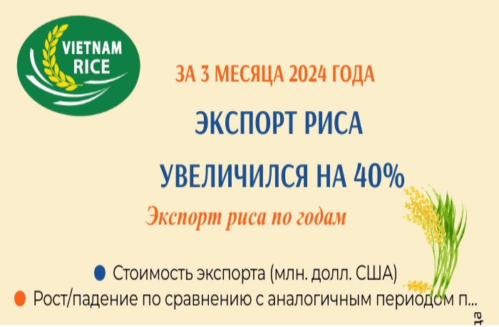 За три месяца 2024 года экспорт риса увеличился на 40