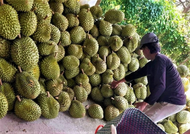 Цены на многие экспортируемые сельскохозяйственные продукты Вьетнама выросли