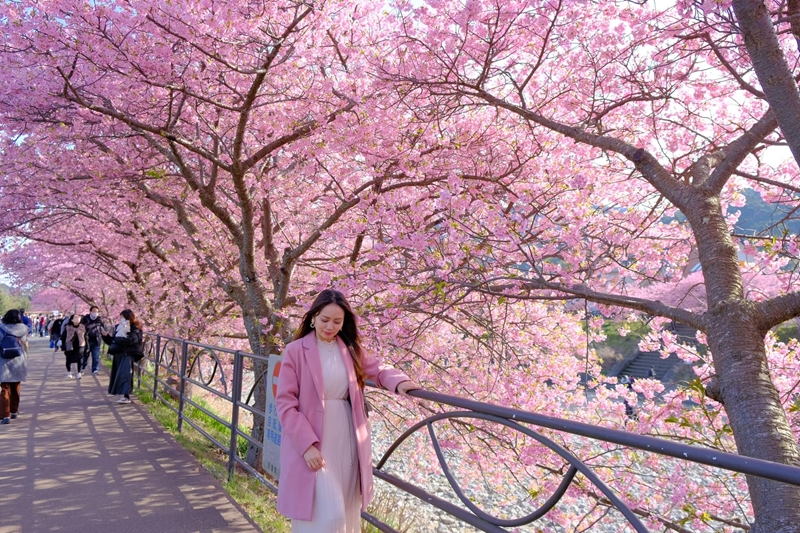 Число вьетнамских туристов в Японии установило новый рекорд