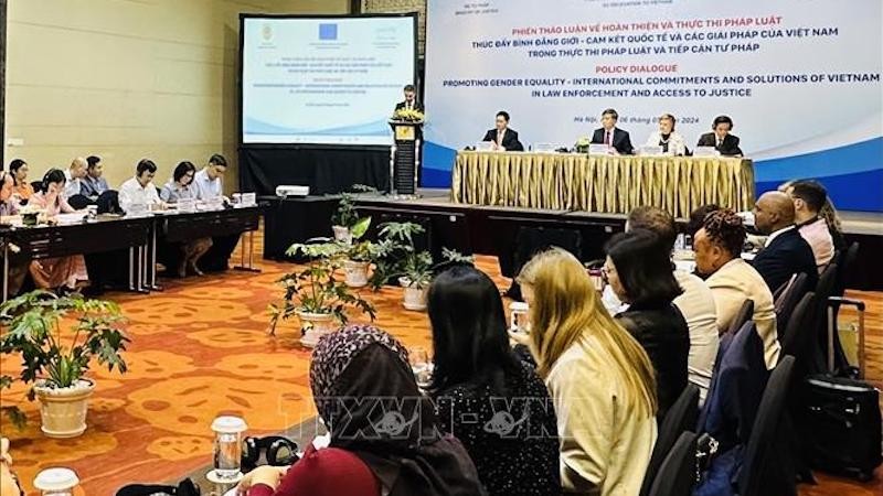 Вьетнам демонстрирует твердую приверженность гендерному равенству в законотворчестве