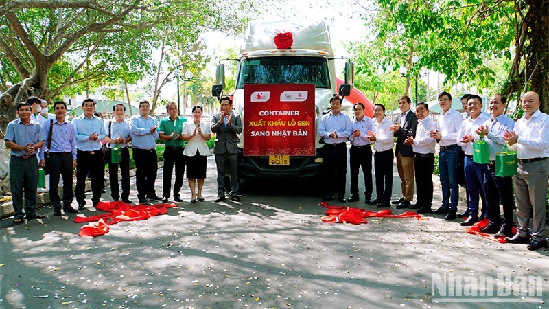 Объявлен экспорт 15 тонн корней лотоса в Японию