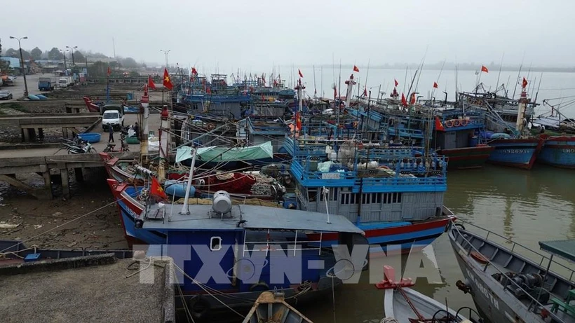 Снятие «желтой карточки» за ННН-промысел решительные меры по устранению недостатков