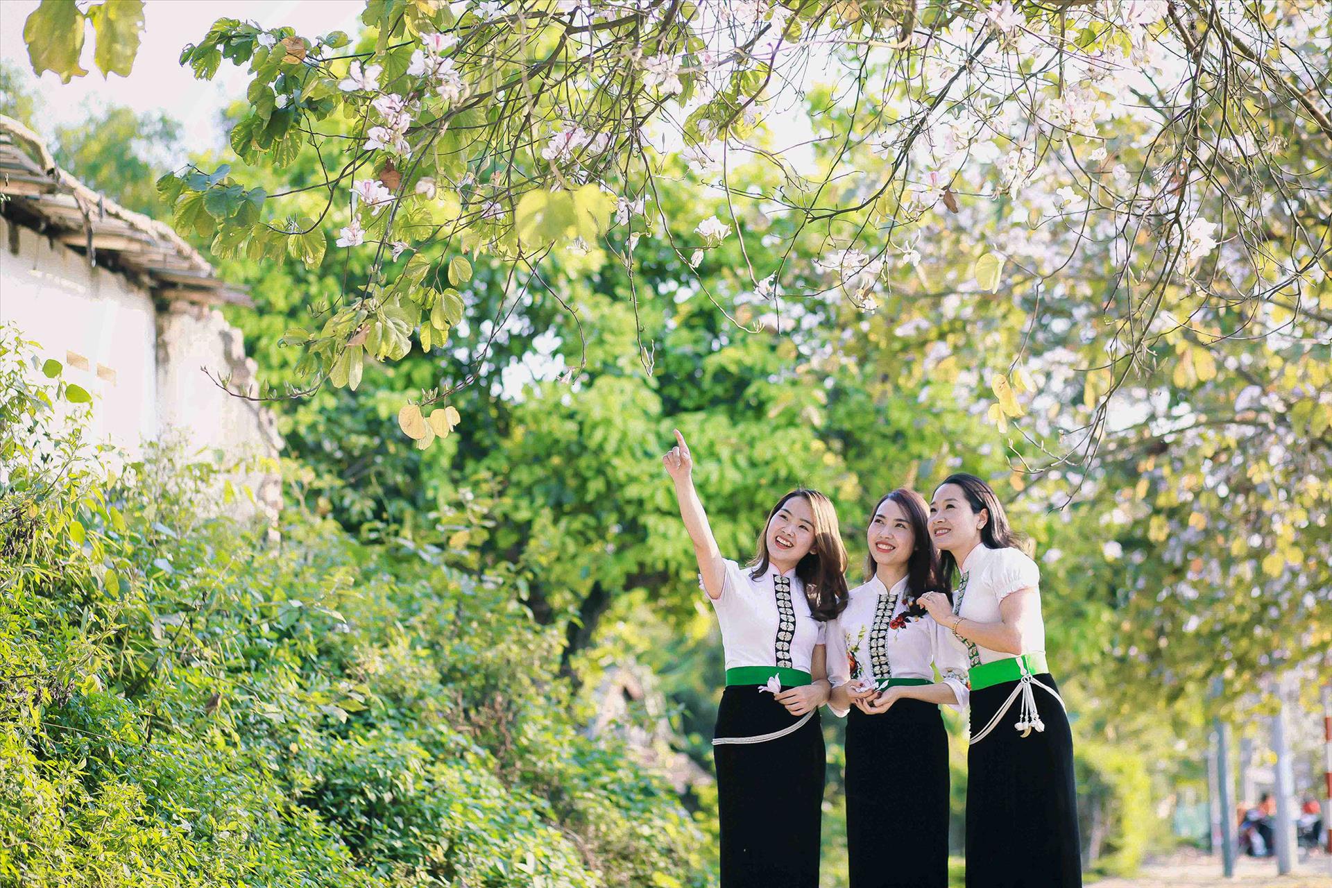 Дьенбиен центр развития туризма в cеверо-западном регионе