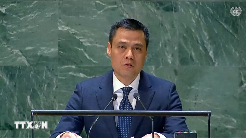 Вьетнам поддерживает Резолюцию по членству Палестины в ООН