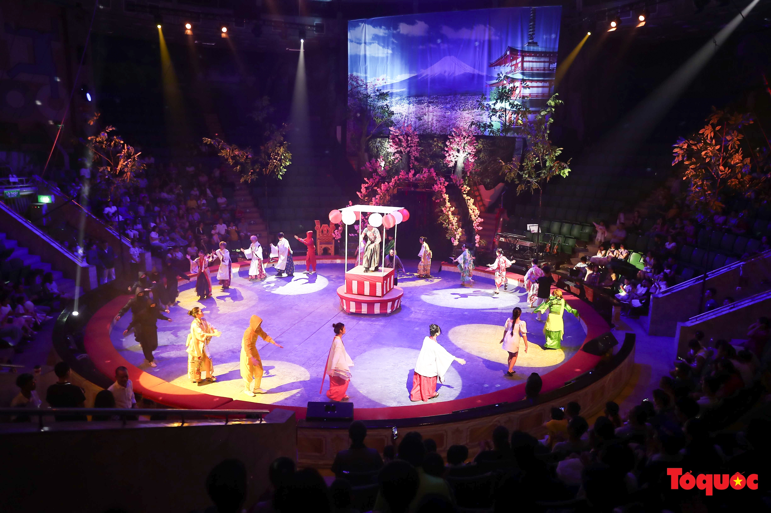 Японские трюки и вьетнамский цирк