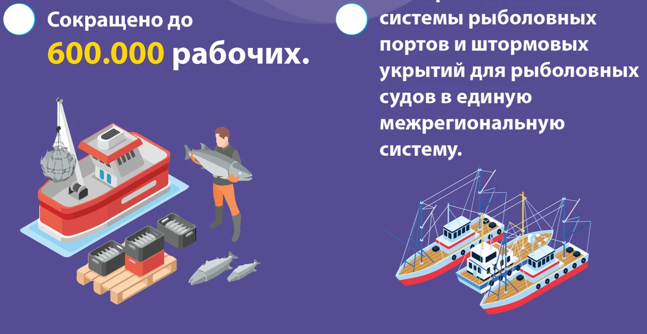 Вьетнам стремится к 2050 году создать устойчивый и современный рыболовный сектор часть 1