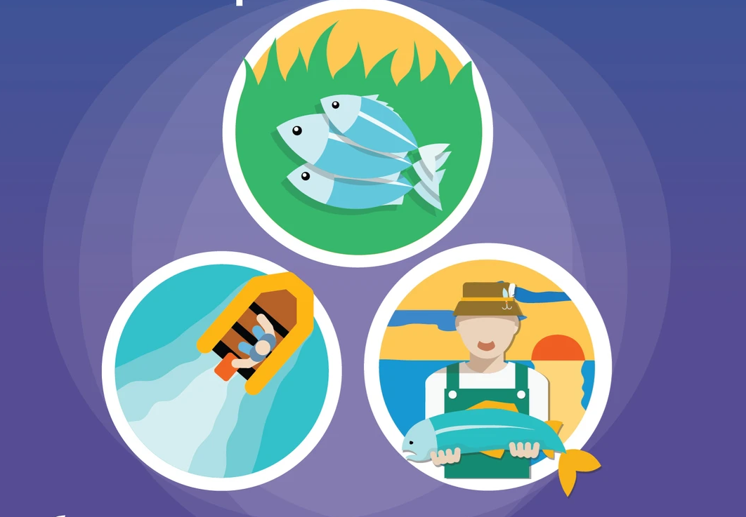 Вьетнам стремится к 2050 году создать устойчивый и современный рыболовный сектор часть 2