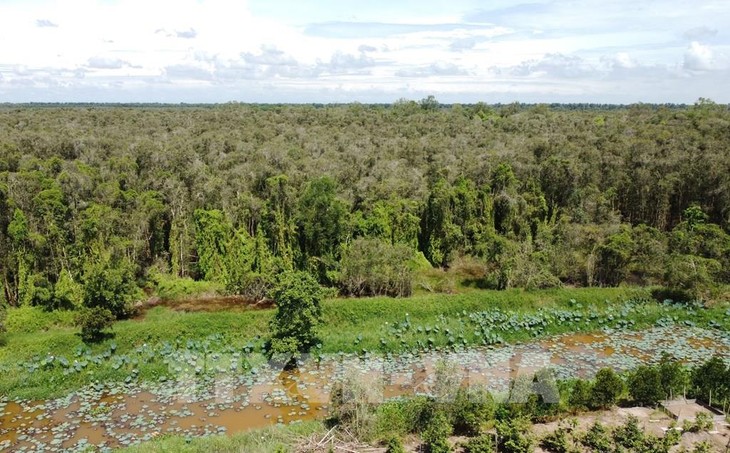 Вьетнам имеет большой потенциал для развития рынка углеродных кредитов
