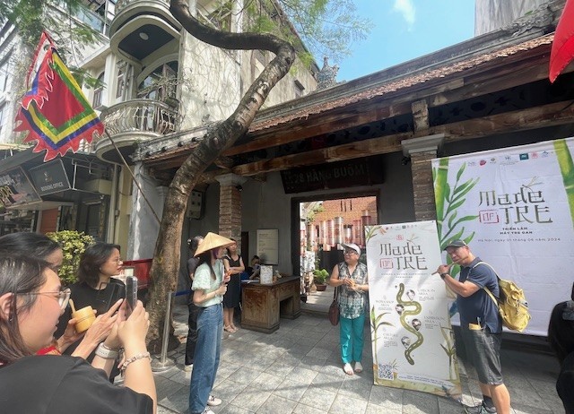 Выставка «Сделано из бамбука – Made of Tre» привлекает молодежь