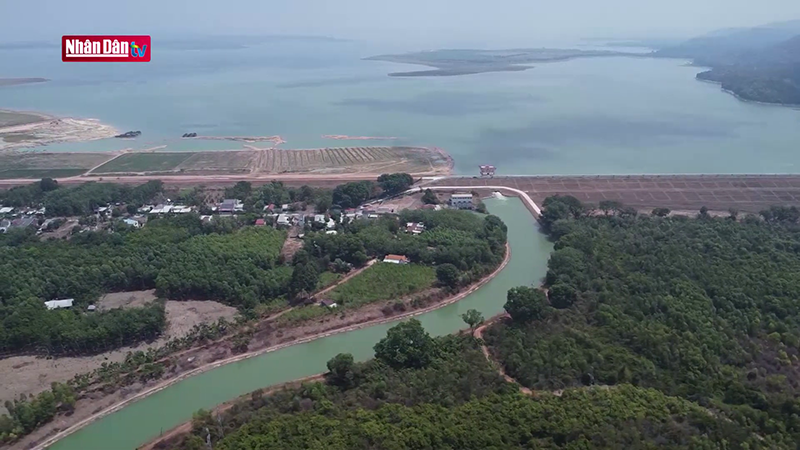 Зеленое пространство на озере Заутиенг