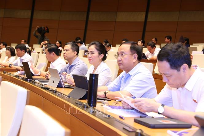 Голосование по принятию Резолюции о программе законотворчества