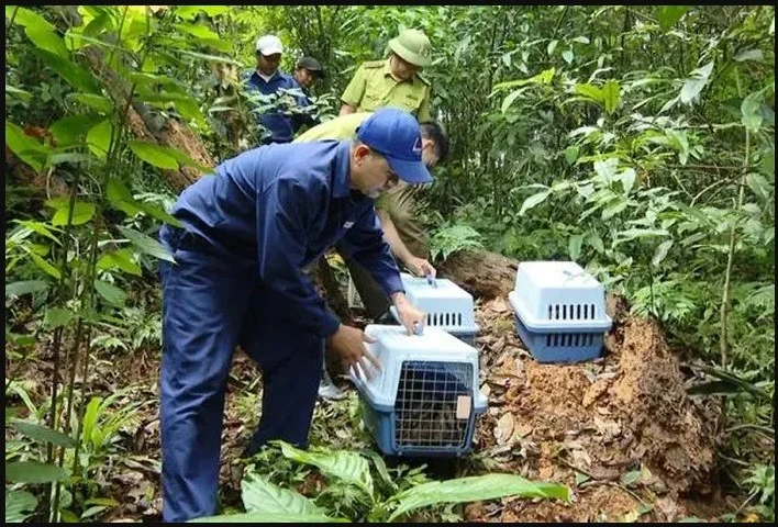 Выпущено более 20 редких диких животных