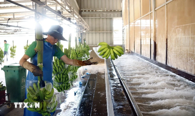 Вьетнамские предприятия помогают улучшить жизнь лаосских рабочих