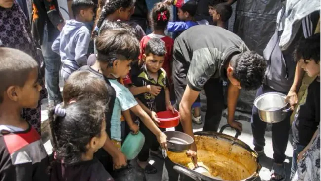 Более 50 сельскохозяйственных земель в Газе повреждено