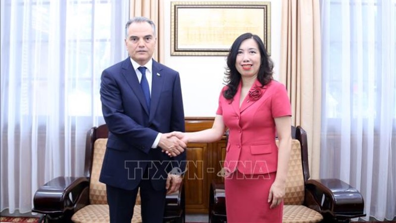 Заместитель министра иностранных дел Ле Тхи Тху Ханг приняла Послов Туркменистана и Исландии