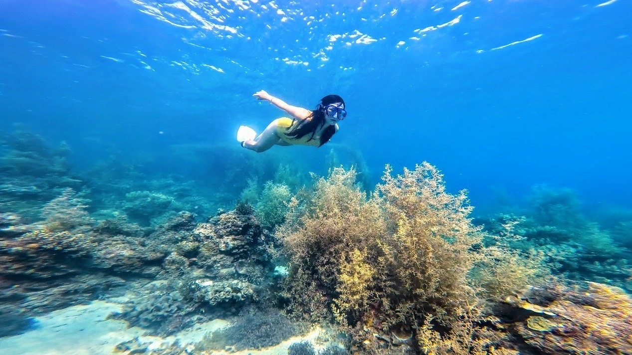 Откроем для себя волшебный океан с помощью дайвинга